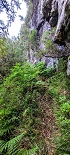 Plants: image 83 Of 208 Thumb